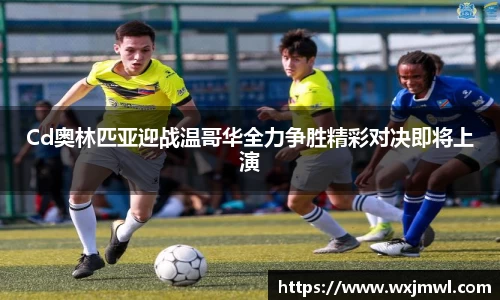 VSport胜利因您更精彩